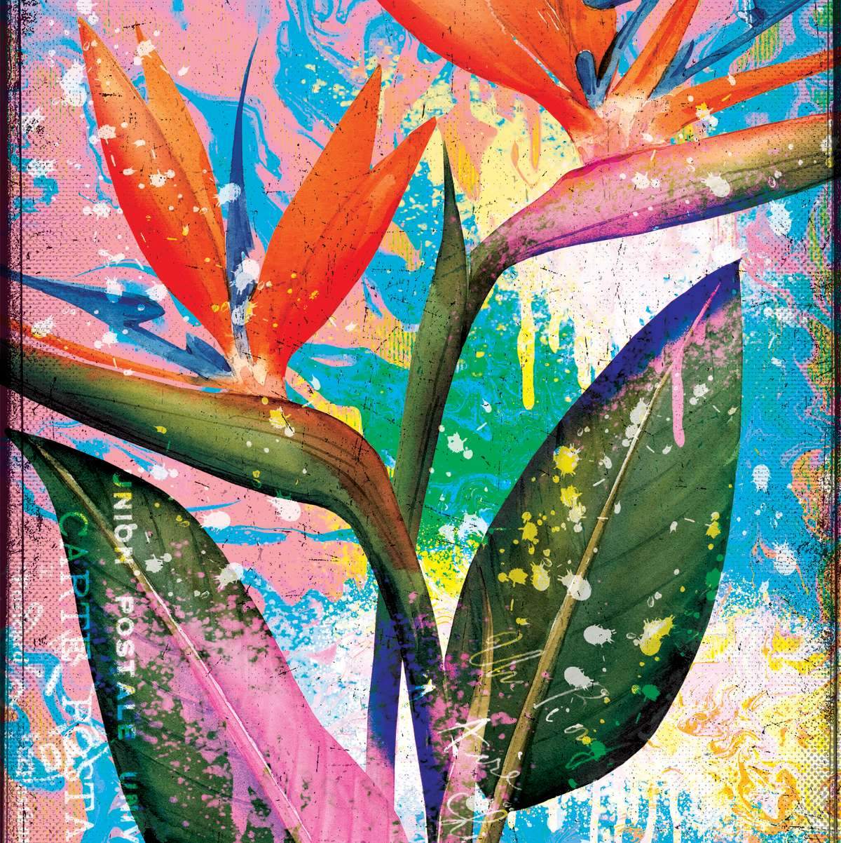 Birds Of Paradise Wall Art