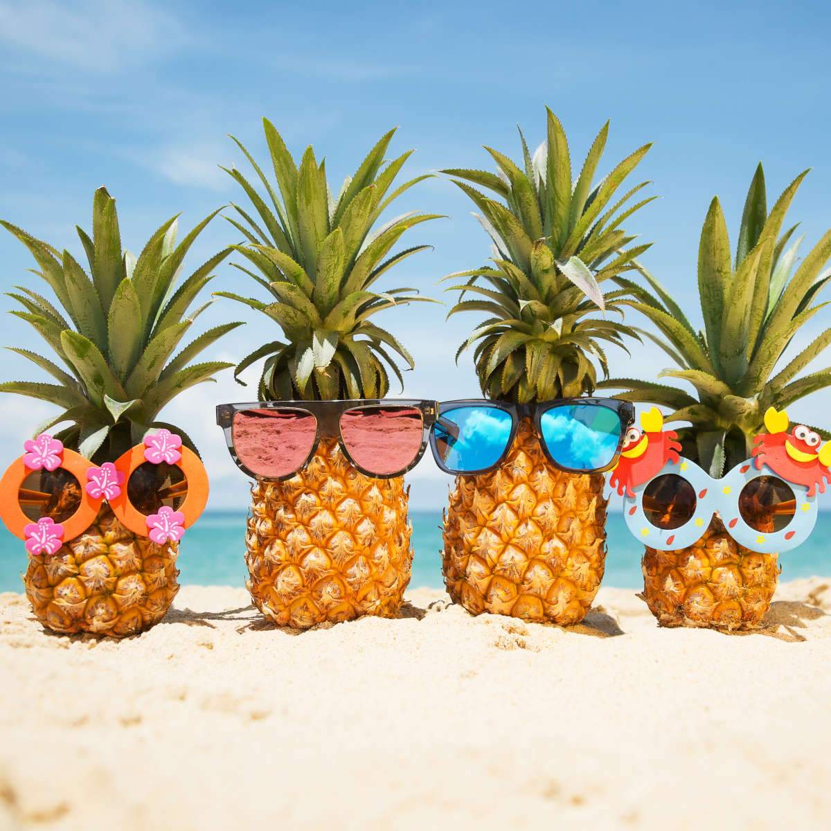 Funny Food And Drinks Wall Art