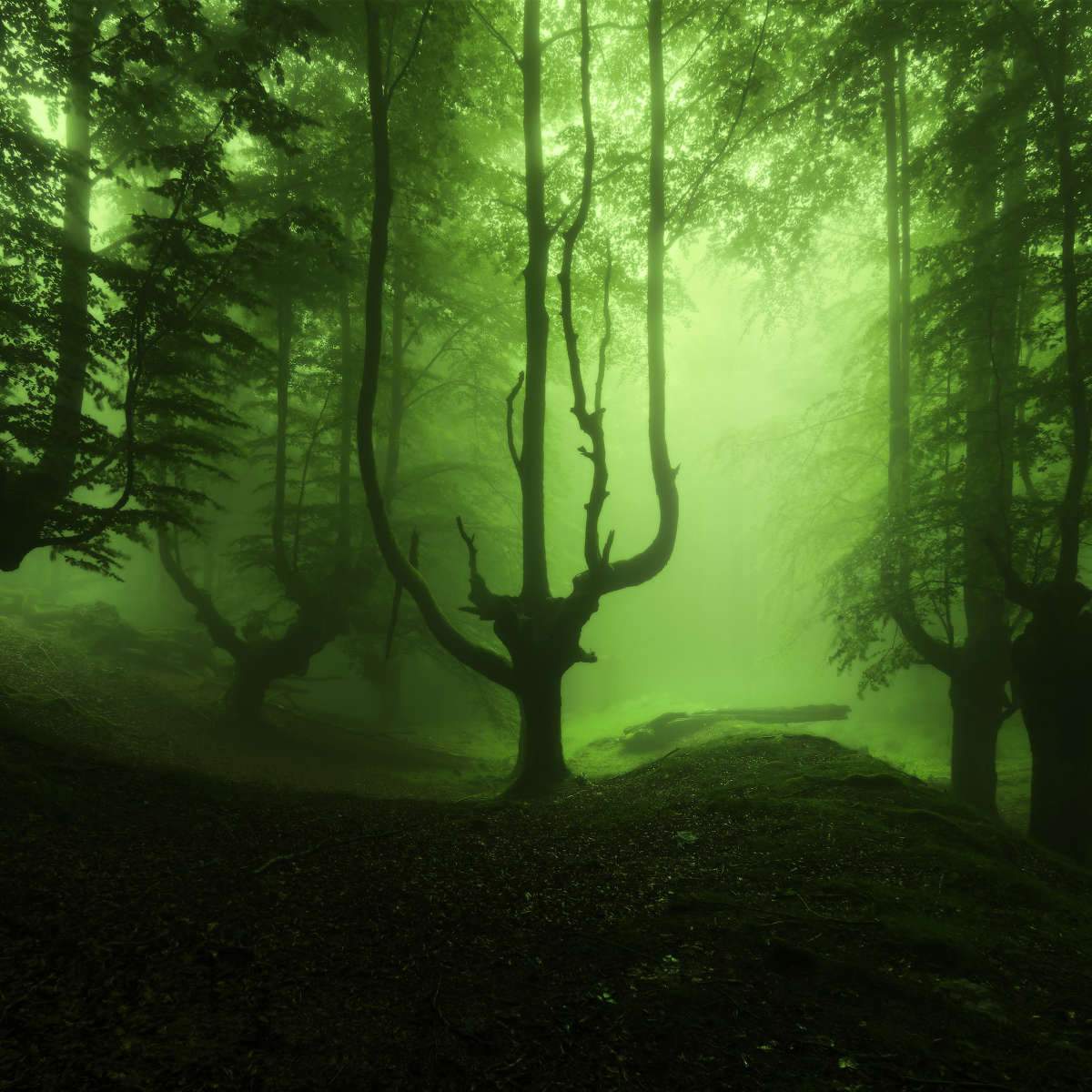 Gothic Landscapes Wall Art