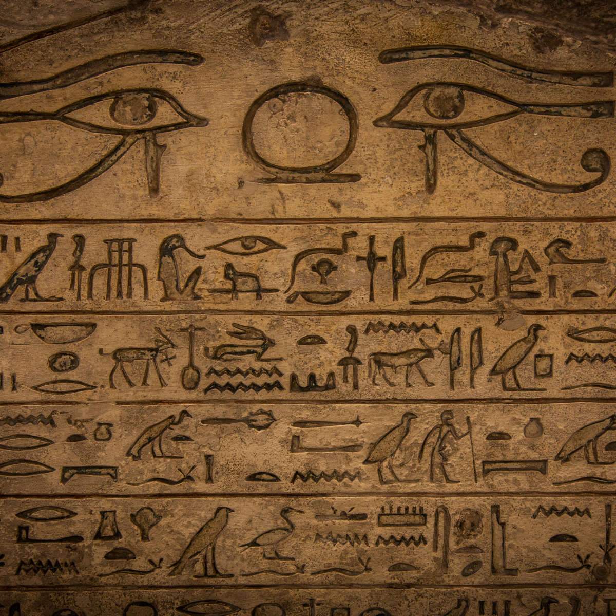 Historical Education Wall Art