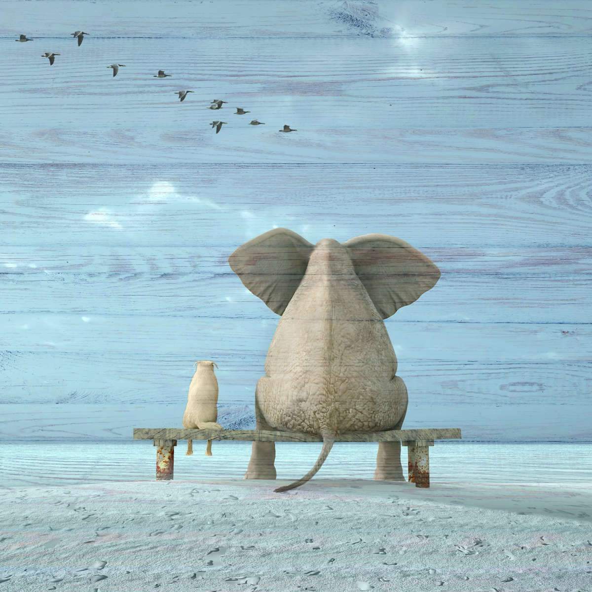 Kids Animals Wall Art