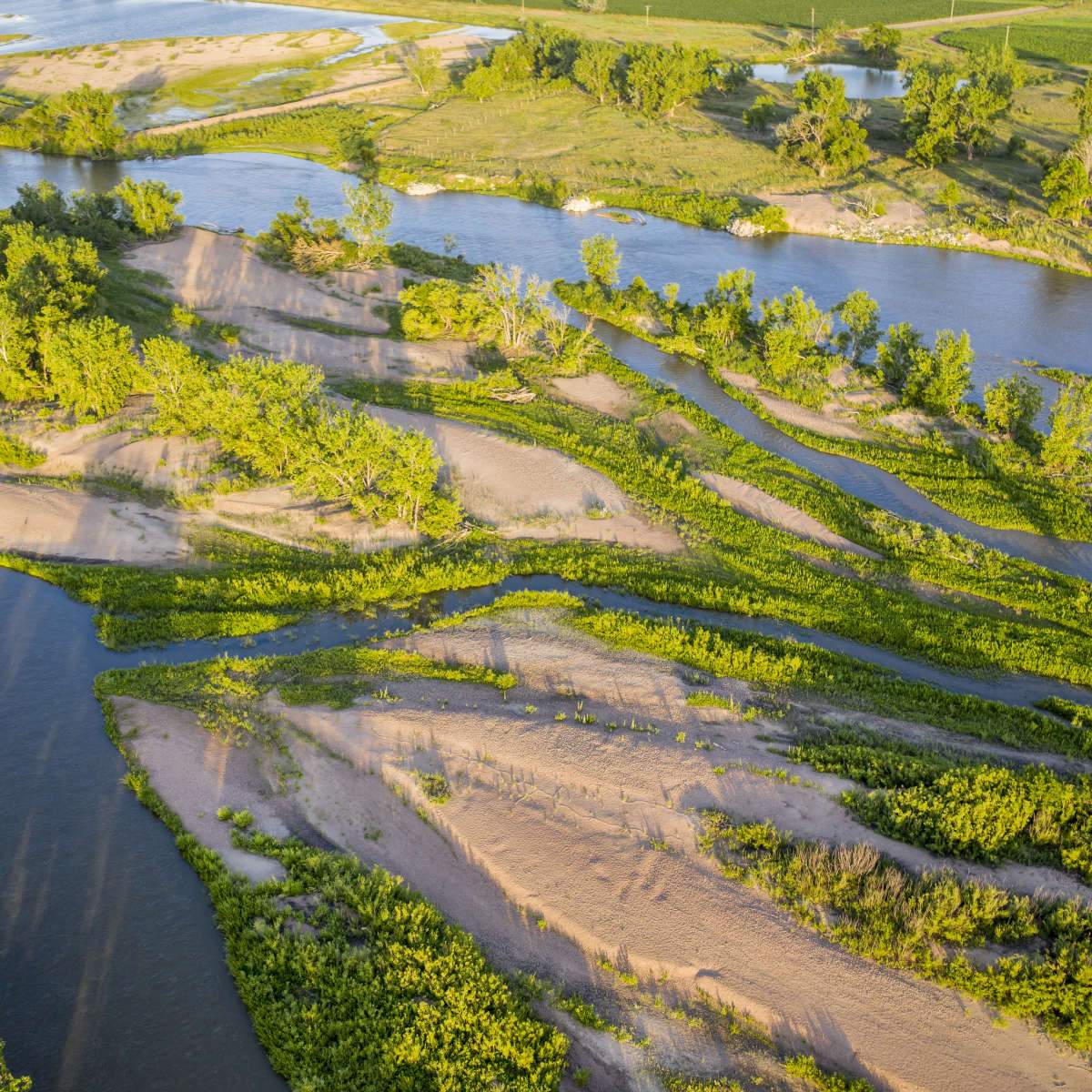 Platte River Wall Art