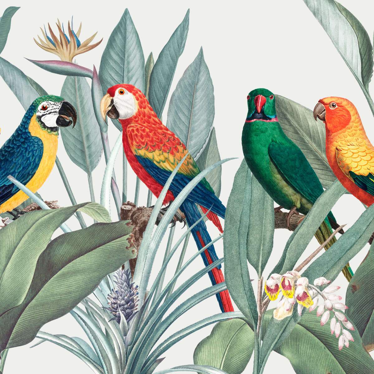 Safari Parrots Wall Art