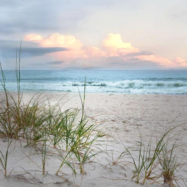 Sandy Beach Wall Art