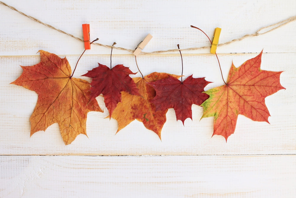 Autumn Leaves Decorations