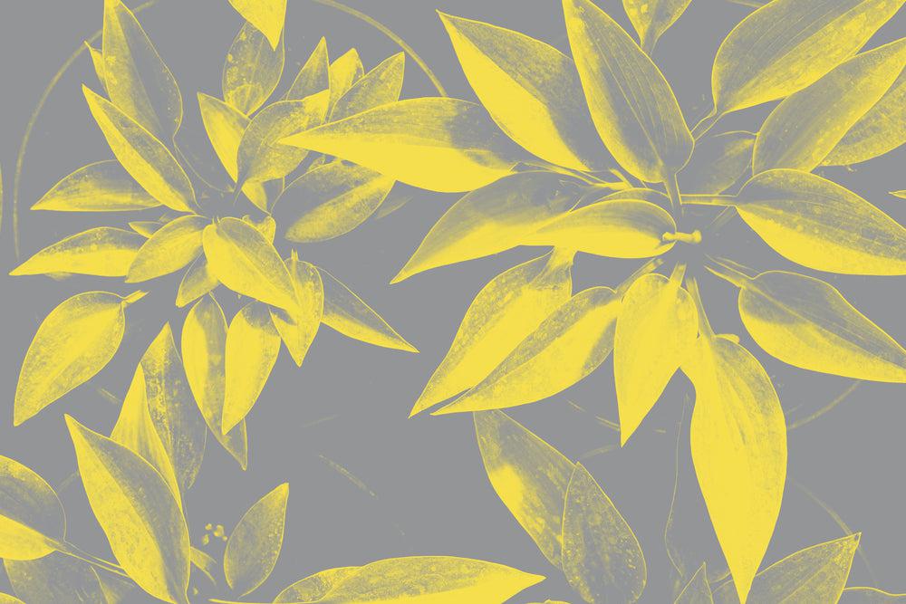 The Pantone Color of the Year - Revealed!