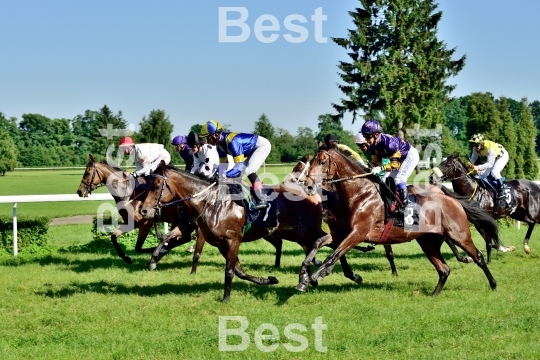  Horse race for the prize of the President of the City of Wroclaw on Juni 8, 2014