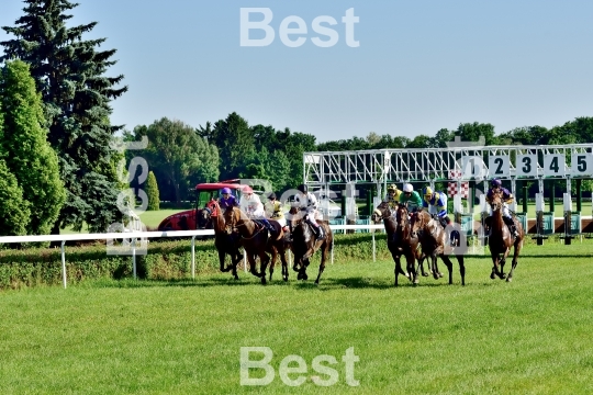  Horse race for the prize of the President of the City of Wroclaw on Juni 8, 2014