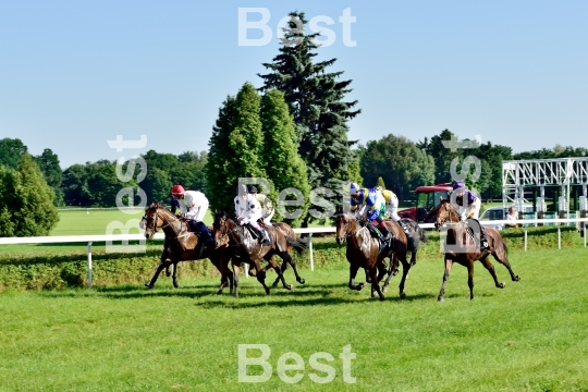  Horse race for the prize of the President of the City of Wroclaw on Juni 8, 2014