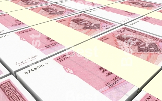 Bosnia and Herzegovina convertible mark bills stacks background