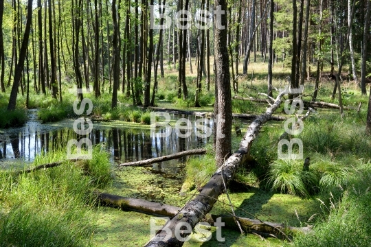 Drawskie Lake District, Poland