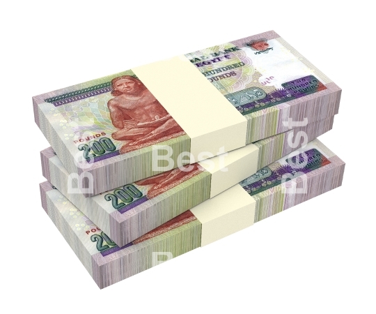 Egyptian pounds bills isolated on white background