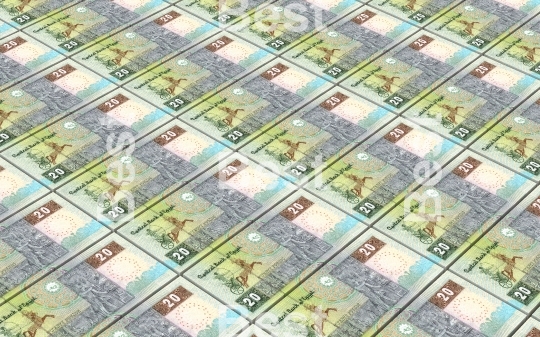 Egyptian pounds bills stacks background