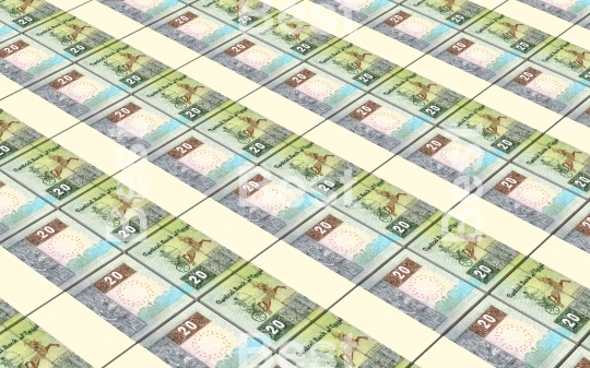 Egyptian pounds bills stacks background