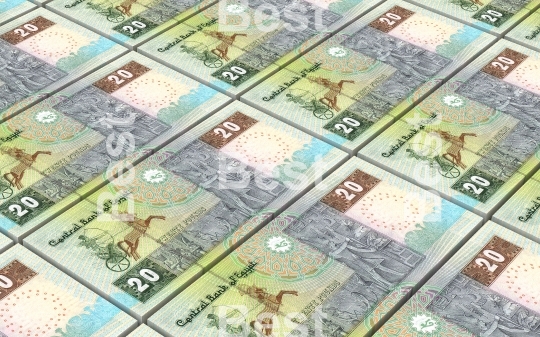 Egyptian pounds bills stacks background