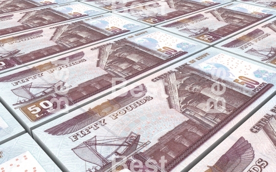 Egyptian pounds bills stacks background