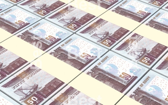 Egyptian pounds bills stacks background