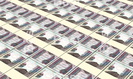 Egyptian pounds bills stacks background