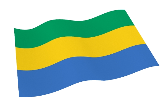 Gabon flag isolated on white background from world flags set.