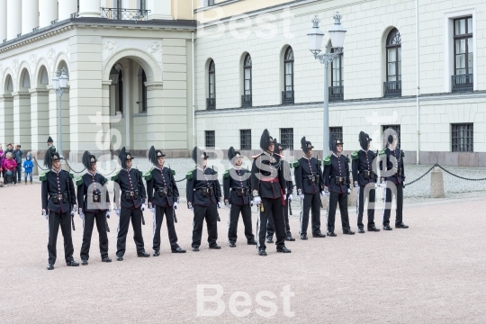 Honor guards in front of the Royal Palace