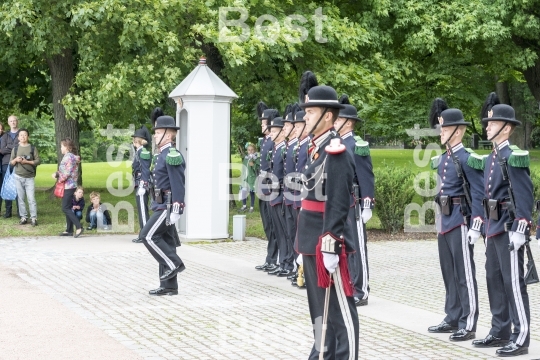 Honor guards in front of the Royal Palace