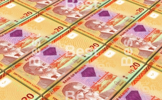 Namibian dollars bills isolated on white background