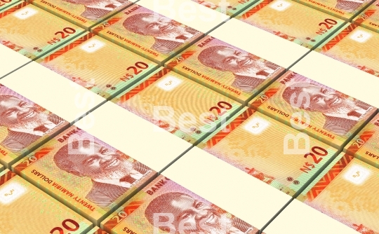 Namibian dollars bills isolated on white background