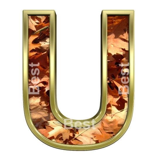 One letter from autumn gold alphabet set