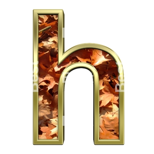 One lower case letter from autumn gold alphabet set