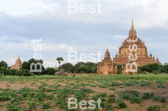 Pagodas in Bagan