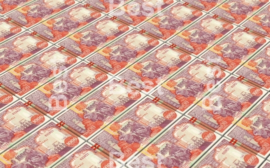 Somalian shilings bills stacked background