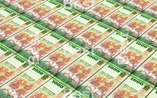 Sri Lankan bills stacks background