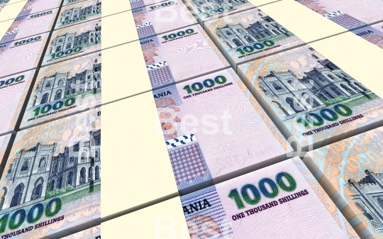 Tanzanian shilling bills stacks background