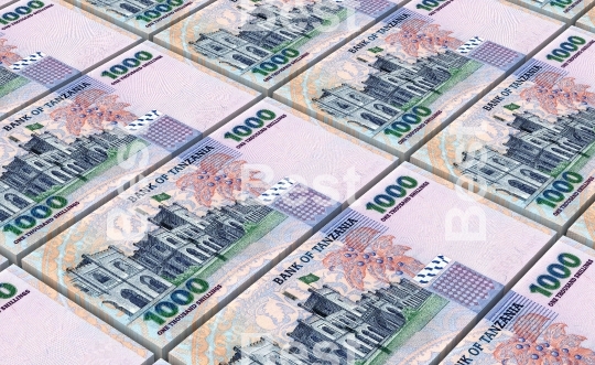 Tanzanian shilling bills stacks background