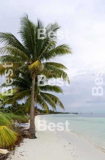 View of tropical beach in Cayo Guillermo