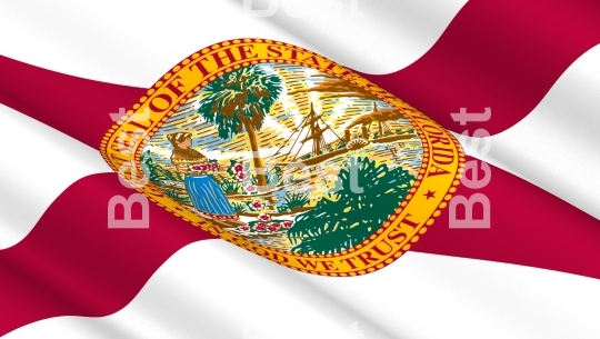 Waving flag of Florida